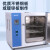 电热恒温鼓风干燥箱实验室烘箱工业烤箱药材烘干箱烘干机 [升级款210L]SN-101X-3A(镀