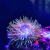 海葵海缸宠物生物珊瑚造景海草海星观赏海水鱼尼莫小丑鱼 荧光粉点海葵3cm左右2个