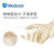 Medicom麦迪康 一次性手套乳胶实验室橡胶无粉食品级美容美发专用乳胶手套 100只/盒 乳白色 1108C 中码M