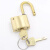 沸耐笙 FNS-24335 电力表箱锁加油站油罐黄铜锁 35mm通开一锁一钥匙短梁 1把