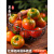 新鲜草莓柿子西红柿自然熟铁皮柿子盘锦碱地丹东水果番茄5斤蔬菜 适合生吃 3斤