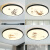 欧洲品质顶灯厨卫现代简约客厅灯卧室圆形过道阳台餐厅灯具蓬 伟 鸟巢40cm-白光