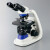 AP 亚速旺 EC平面透镜生物显微镜 不涉及维保 起订量1个 MP38B双筒望远镜 货期45天