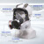 LISM6800防毒面具 甲醛喷漆农药酸性气体 防毒面具全面具 防尘面罩 全 6700面罩+1号小铁罐