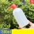 塑料洗瓶250 500ml实验室弯头冲洗瓶偏头吹气瓶植物喷水壶清洗瓶 500ml【红头】