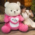 礼物熊可爱变身小熊草莓色熊公仔生日礼物送女友女孩子的走心熊玩偶 粉色草莓熊 45厘米