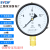 上海仪川仪表 径向负压真空压力表Y100 水压油压气压表 0-1.6MPa Y100 0-16MPa