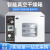 电热恒温真空干燥箱实验室真空烘箱测漏箱工业真空烤箱烘干箱 升级款DZF-6050B【370*415*345】