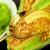 京愿 山东头茬羊角蜜甜瓜 羊角脆甜瓜香瓜蜜瓜新鲜水果生鲜 5斤 活动装