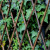 安赛瑞 户外伸缩竹篱笆 碳化竹栅栏围栏 庭院装饰花园隔断护栏菜园爬藤架 180x180cm 5E00152