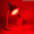 实验加热化验室科研250/375W耐热测试烘干燥烤灯飞利浦 飞利浦250W（黄光）灯泡+A 100-300W