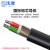 沈津 ZR-VLV22-0.6/1KV-2*10mm² 国标铝芯铠装阻燃电力电缆 1米