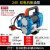 博雷奇220V防爆电动抽油泵自吸式柴油加油泵DYB大流量电动油泵 24V  双电机柴油泵