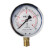 定制适用抗震表耐振油压表 指针防震YN-100防震0-1.6气压油液压 0-0.1MPA