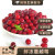 芒司令【顺丰】新鲜黑龙江抚远冷冻蔓越莓 小红莓女性脆酸水果泡水浆果 【普快】1000g