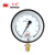 红旗（HONGQi）YB-150精密压力表 径向精度0.4级0-4mpa气压表水压表液压燃气表	