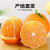 惠寻京东自有品牌 江西赣南脐橙 应当季时令手剥橙子新鲜水果 5斤（活动装） 中大果（单果70-75mm）