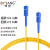 博扬（BOYANG）BY-301S 电信级光纤跳线尾纤 3米SC-SC 单模单芯（9/125 2.0）机房专用光纤线