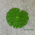 SKIDS仿真荷叶水池装饰小荷花莲叶塑料绿叶子莲花共佛睡莲塑料绿植客厅 塑料荷叶17厘米