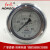 适用于 红旗仪表 耐震防震抗震压力表  充油压力表 0～6 MPA