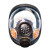杜邦Tychem C防护服 连体防尘防化耐酸碱工业防护 搭配全面罩+手套+靴子*1套 全面罩套装（综合防护） S