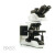 OLYMPUS生物显微镜BX53FC