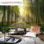 初尚3D自然风景背景墙布客厅沙发立体延伸森林壁布田园绿色树木壁画 整张高清无纺布