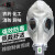 唐丰防毒面具3# 全面罩工业化工气体农药消防氨气防有机蒸汽 全密封1个