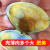 【顺丰速运】丹东黄蚬子鲜活海鲜贝类大黄蚬子蛤蜊黄蚬子鲜活  无沙包活  1.5kg