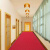 谋福 室内室外PVC黑底双条纹地毯室外办公室酒店迎宾户外防滑走廊楼梯踏步地垫红色2米宽*15米长 一卷
