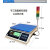 定制莞龙上下限报警秤声光同步检重定量灌装电子称30/20/15kg/0.1 5kg0.01g带灯