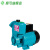 家用GP125W空调泵单相220v自吸泵离心水井抽水机全自动小型增压泵增压泵家用 全铜125W