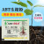 适用ABT生根粉1号一号2号3号苗木扦插发根育苗通用移栽植物生长调 ABT1号(期)