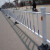 犀跃 道路护栏 市政隔离栏 安全防护活动栏杆 锌钢围栏篱笆栅栏 0.8米高立柱/根