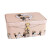 多浩通带锁收纳盒铁盒子保险箱创意桌面整理储物箱化妆品珠宝保险盒 流星雨（大号）