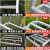 园林三角梯果园采摘梯子铝合金三脚梯园艺人字梯绿化修剪树枝 11步3.73米单支撑杆