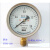 北京布莱迪氧气压力表YTFO-100(禁油氧气专用   外螺纹M20*1.5 0-0.6MPA