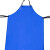 稳斯坦 WST535 PVC防水围裙 防油 耐酸碱围裙 清洁工作 食物加工厂塑胶工业 打磨防污 蓝色