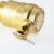 博雷奇铜平口自动暖气排气阀 管道水管放气阀 平口排气阀 DN20 6分(10个)