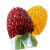 草莓水果玉米种子四季迷你奶油色小玉米籽春季宝石观赏玉米 菠萝玉米种子/包约45粒 草莓+菠萝【种子各1包】發(2包)