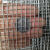 304不锈钢电焊网片防鼠网钢丝围栏窗户防护焊接网筛网防盗网 丝1.0mm/孔6mm/1X1米