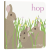 英文原版绘本 小兔跳跳 Hop 儿童英语启蒙纸板书 亲子互动读物 英文版进口原版书籍