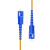 蓝邮 LC-FC尾纤电信级光纤跳线 单模双芯测试尾纤跳线收发器测试尾纤长线尾 LC/UPC-FC/UPC单模双芯-定制型号