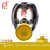 普达 自吸过滤式防毒面具 MJ-4009呼吸防护全面罩 面具+P-E-2过滤罐