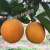 重庆老品种广柑 土广柑 泡酒鹅蛋广柑 新鲜时令水果柑橘 现摘现发 4000g 60mm（含）-65mm（不含）