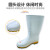 丽泰雨鞋卫生靴白色中高低筒耐油耐酸碱防水防滑雨靴牛筋底 丽泰白色雨靴低筒 37