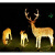 动真格（DongZhenGe）梅花鹿/长颈鹿大型户外动物景观灯鹿公园景区园林工程亮化草坪灯AA 松鼠一对