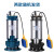 臣源 潜水泵220V不锈钢污水泵WQD7.2-15-0.75自动带浮球排污泵抽水泵750W 蓝色