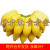 广西小米蕉 香蕉 应季新鲜水果现摘现发 小米蕉5斤