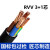 尚可 电线电缆铜芯RVV-3x25+1x16-10米国标护套线软线国标软芯